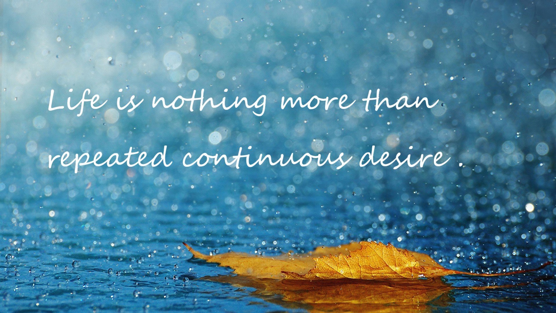 开云真人-APEX英雄 主场作战表现稳定 粉丝全力支持，apex比赛规则